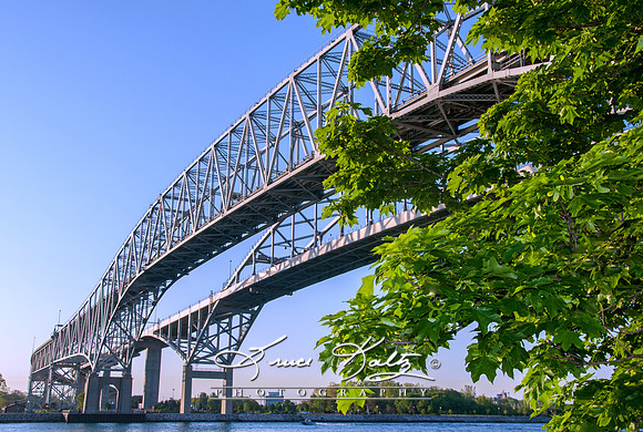 SPRING CROSSING