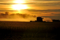 THE HARVEST