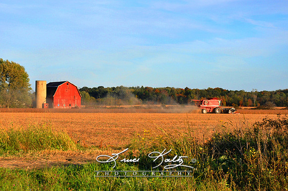 HARVEST THE SOY