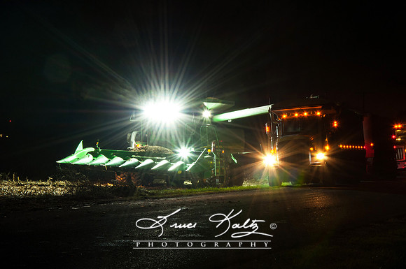 NIGHT LIFE