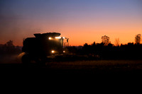 INTO THE NIGHT