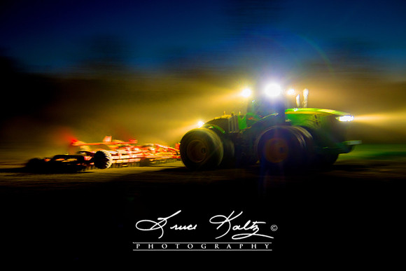 NIGHT MOVES