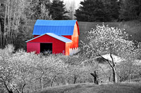 BLOSSOM VALLEY