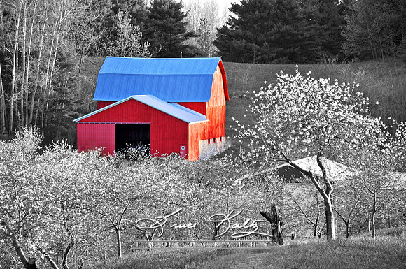 BLOSSOM VALLEY
