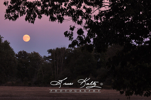 OUR MOON