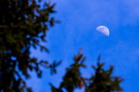 LUNAR BLUE