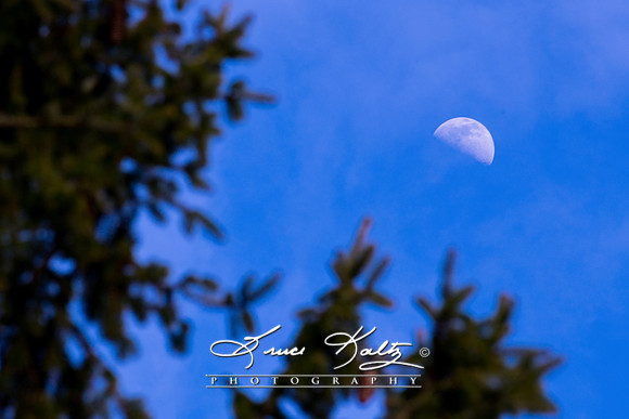 LUNAR BLUE