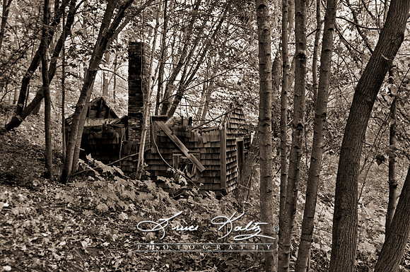 FORGOTTEN PAST BW
