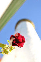 TOWER FLOWER