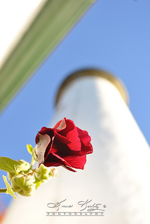 TOWER FLOWER