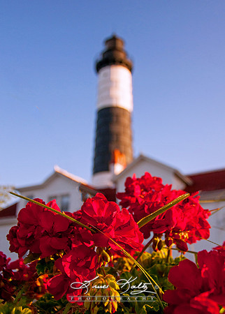 CENTER PIECE