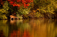 NATURES SOLITUDE