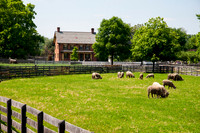 THE HOMESTEAD