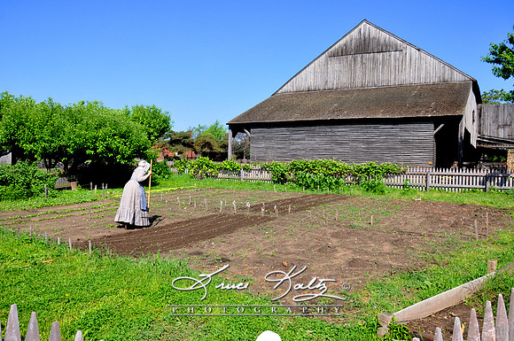 SOWING THE SEED