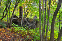 FORGOTTEN PAST