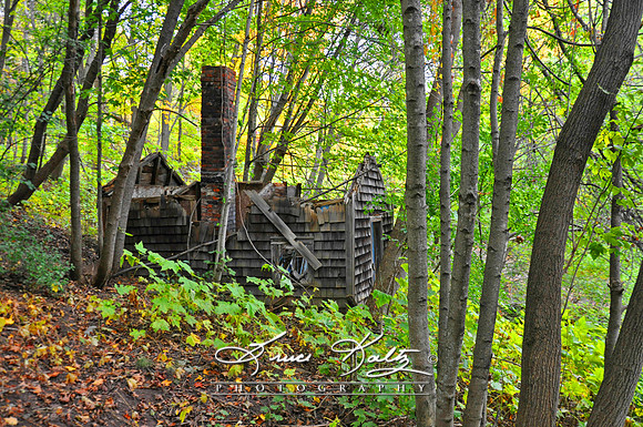 FORGOTTEN PAST