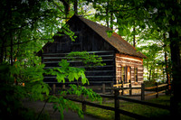HESSLER CABIN