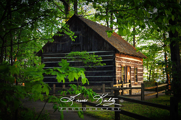 HESSLER CABIN