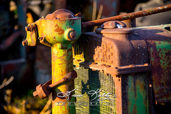 WEATHERED DEERE