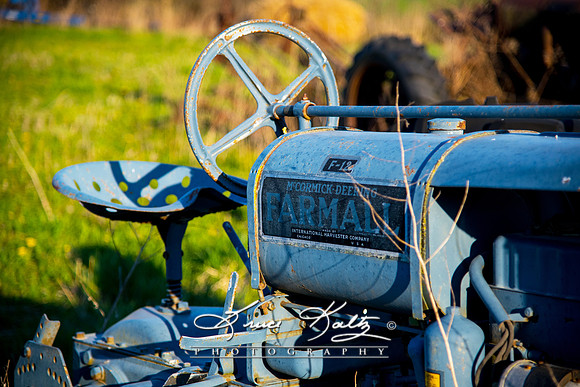 INTERNATIONAL HARVESTER