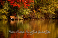 NATURES SOLITUDE Q&V