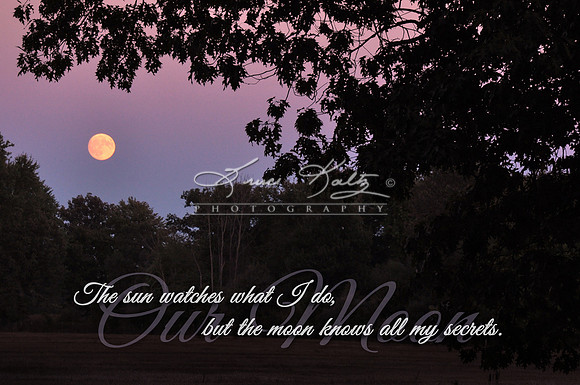 OUR MOON Q&V
