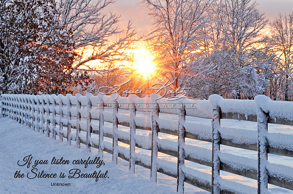 BEAUTIFUL SILENCE Q&V