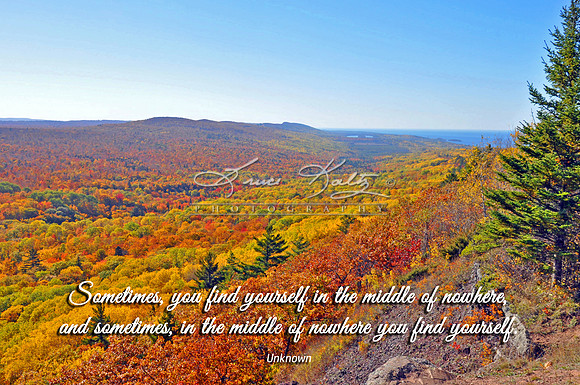 MOTHER NATURES PALETTE Q&V