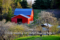BLOSSOM VALLEY Q& V