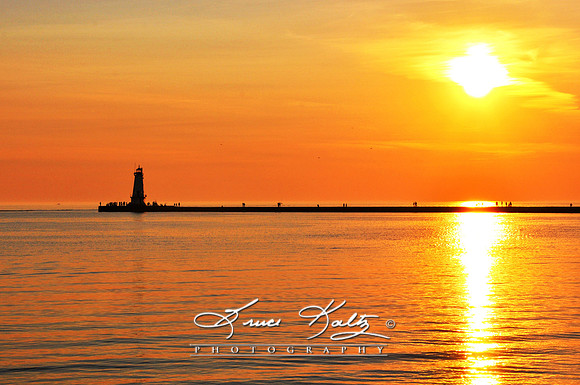 GOLDEN LIGHT