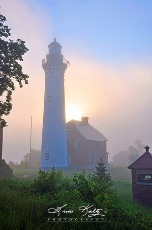 FOG ROLLING IN