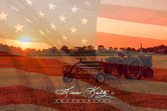 AMERICAN HERITAGE