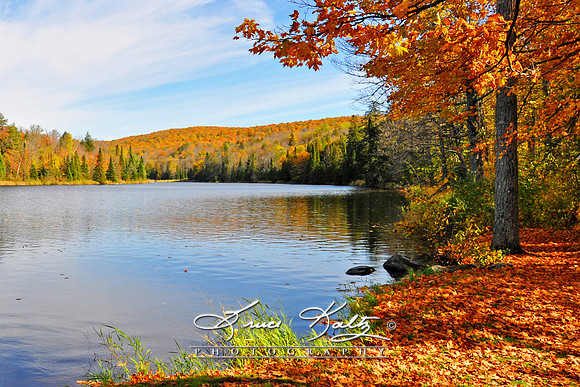 AUTUM DELIGHT