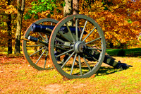 SECOND AMMENDMENT
