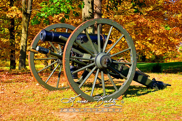 SECOND AMMENDMENT