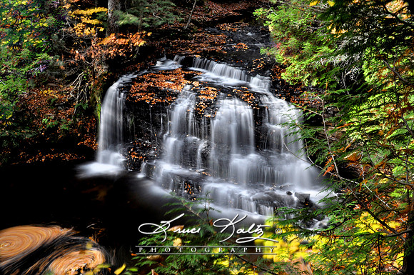 THE CASCADES OF ROCK RIVER