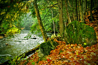 THE SCENTS OF FALL