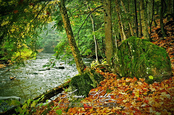 THE SCENTS OF FALL