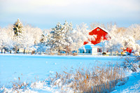 WINTER WONDERLAND