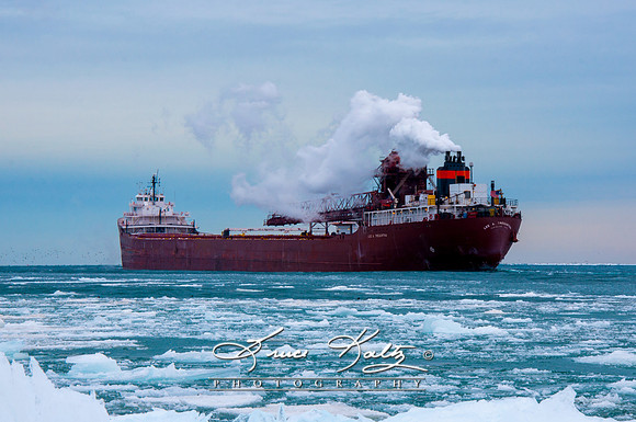 STEAMING FORWARD