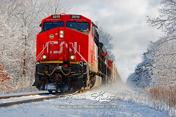 COLD RUSH