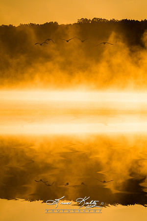 BREAKING THROUGH