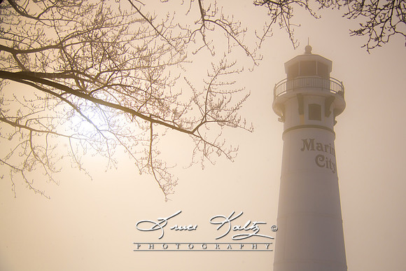 MARINE CITY MIST
