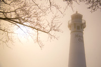 MARINE CITY MIST