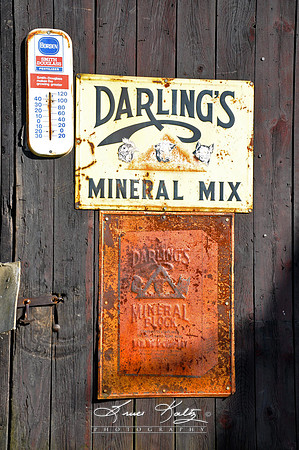 DOORWAY OF DECADES