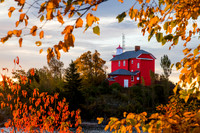 AUTUMN RED