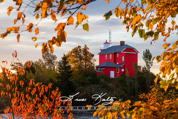 AUTUMN RED